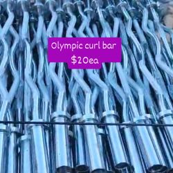 Olympic Curl Bar 
