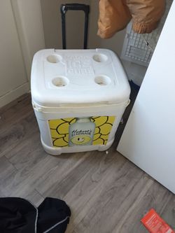 Ice cube cooler
