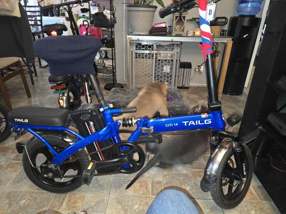 TailG Citi14 Ebike