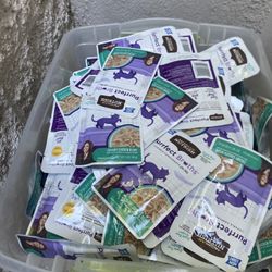 Wet Cat Food For Ferals