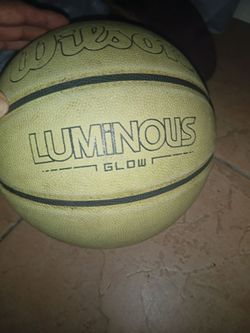 $20  Wilson glow in the dark basketball