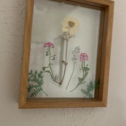 Flower Frame Pressed