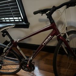 Trek Bike 17”