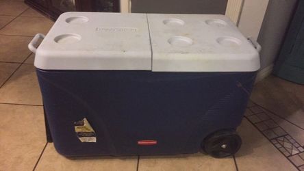 Cooler