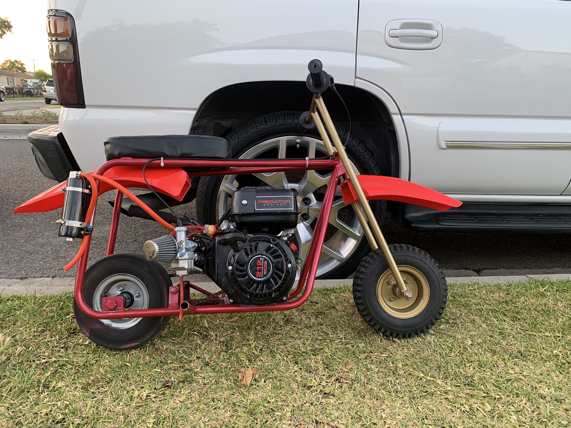 Mini bike predetor