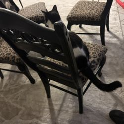 Small Dining Table 4’x3’ With 4 Chairs