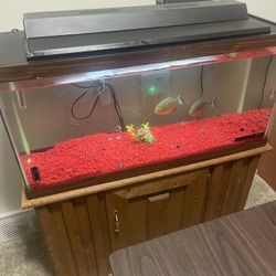 45 Gallon Fish Tank