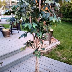 Silk Artificial Tree