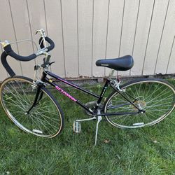 Ladies Adult 12 Speed
