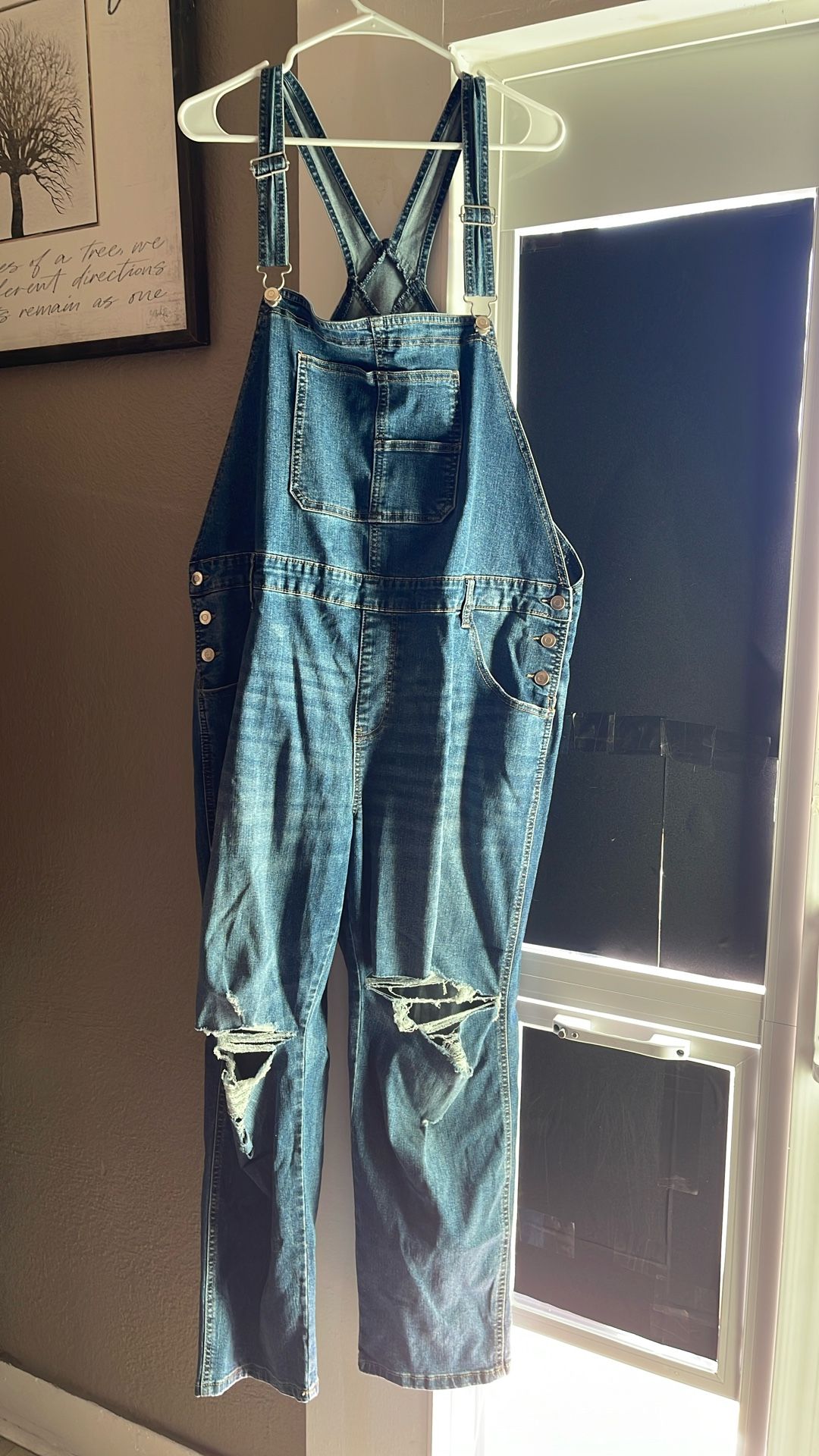 Celebrity Pink Overalls 2XL