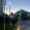 Chris.L