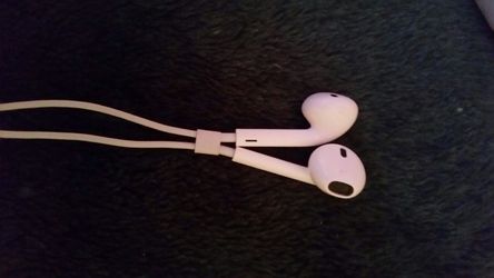 Earphones