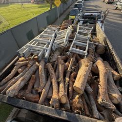 Free Firewood - Pine Firewood 
