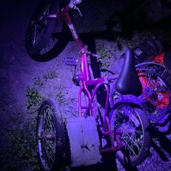 3 Wheel Bike 