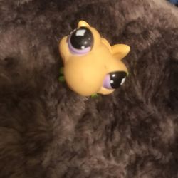 Yellow LPS Frog (2000’s toy)