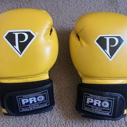 Boxing Gloves  8oz
