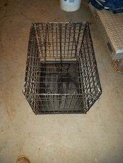 Small dog crate