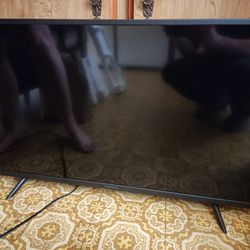 Insignia TV (NOT SMART TV)