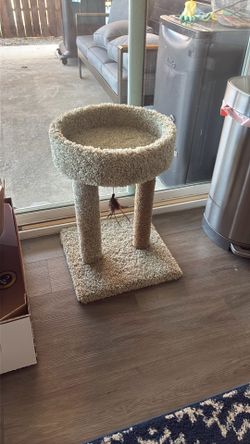 Cat scratch post