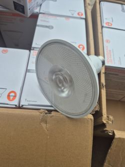 Light bulbs