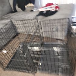 2 small dog cages