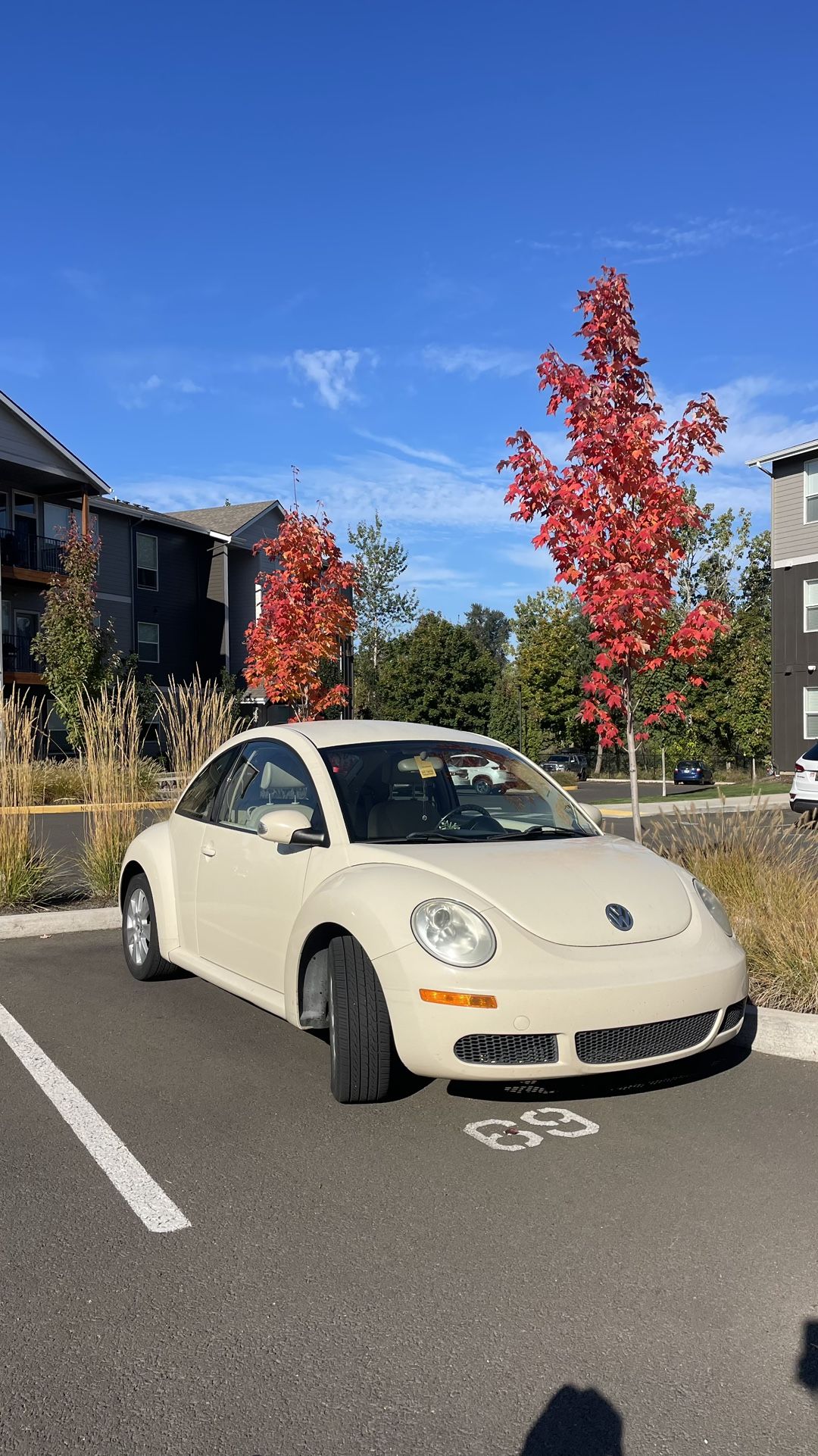 2010 Volkswagen Beetle