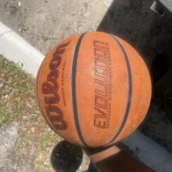 Wilson Evolution Basketball 