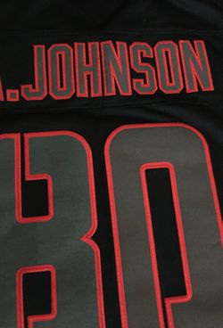 Houston Texans Andre Johnson NFL Player On field Nike Jersey