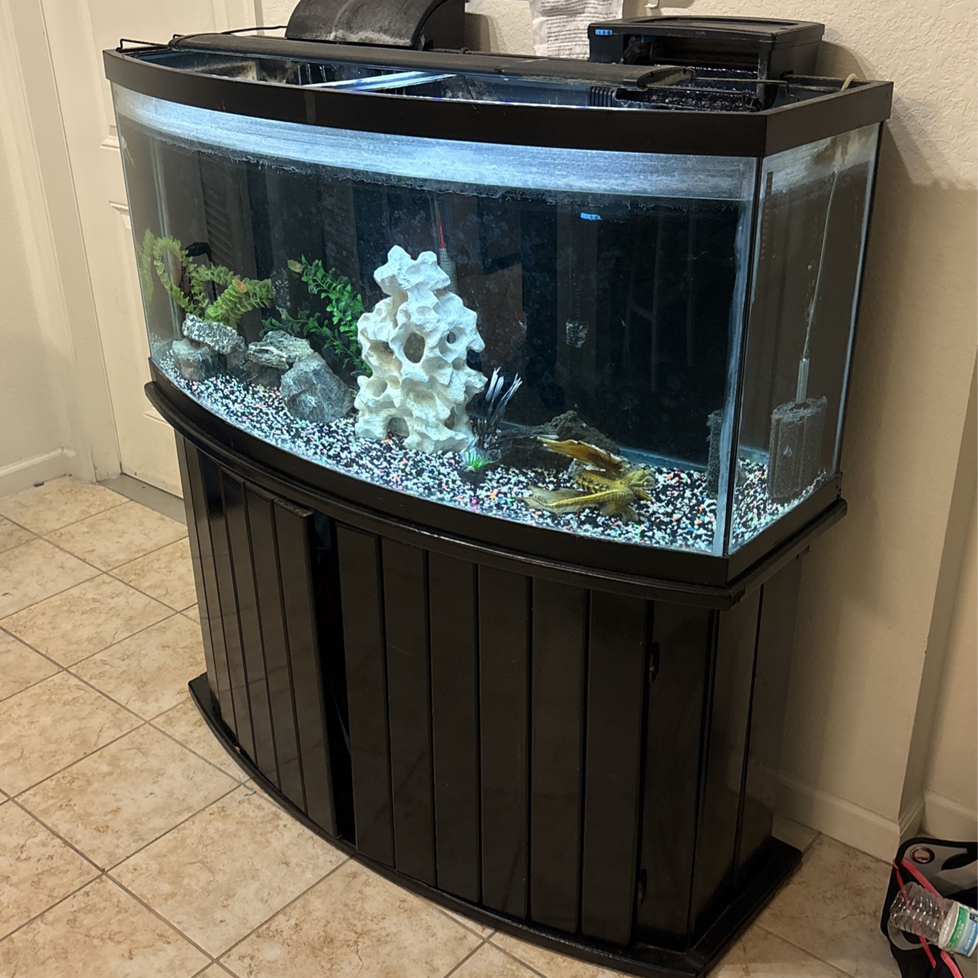75 Gallon Bow Front Tank