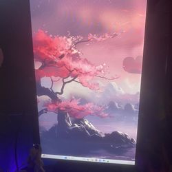 Gaming Monitor (NEED GONE)