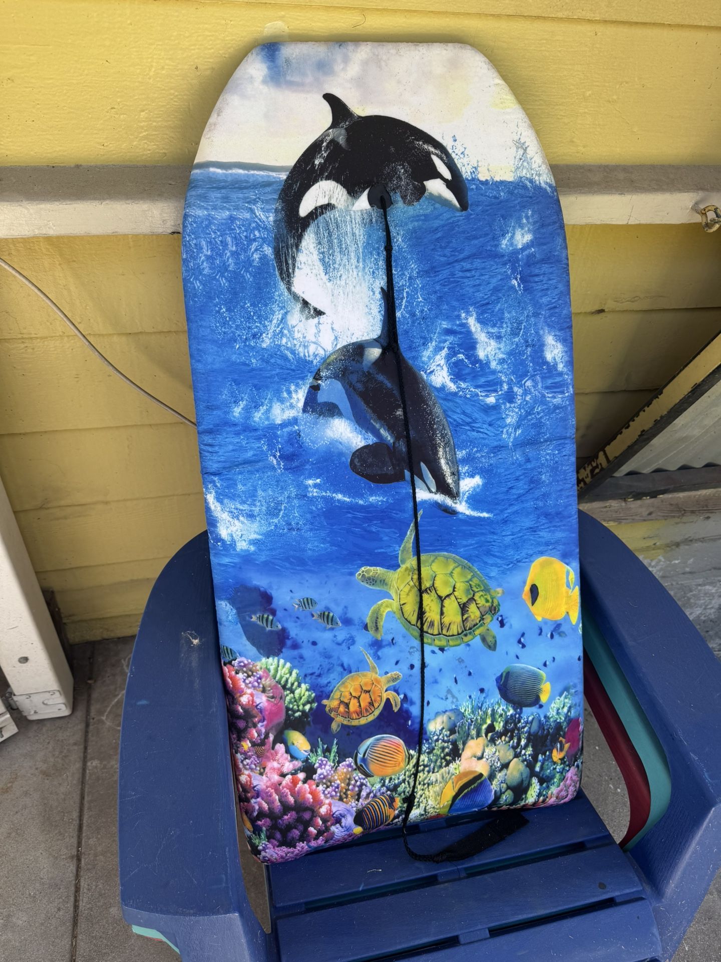 2 Foam Boogie Boards