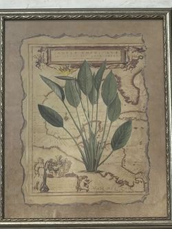 Framed Botanical Vintage Map Wall Art – Traditional Décor – $150