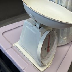 Weight Scale For Food