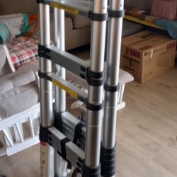 Telescoping Ladder