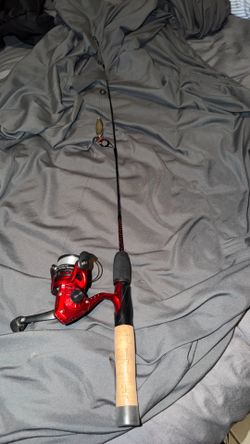 Fishing pole.