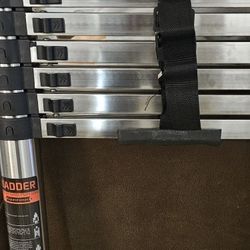 Telescoping Ladder