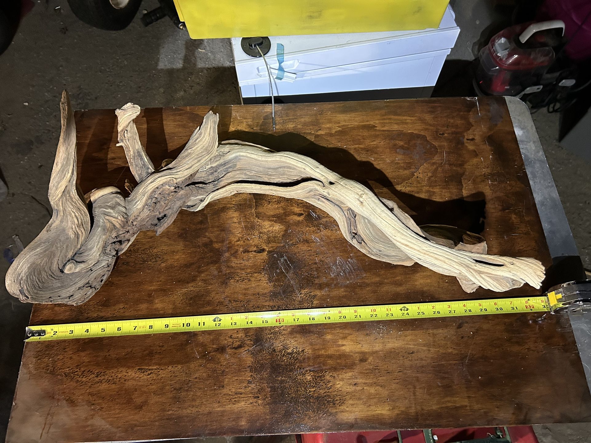 Reptile wood, Manzanita, snake lizards, parrots fresh sea sand, never used