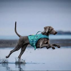 K9 Life Jacket By Non-stop Dogwear