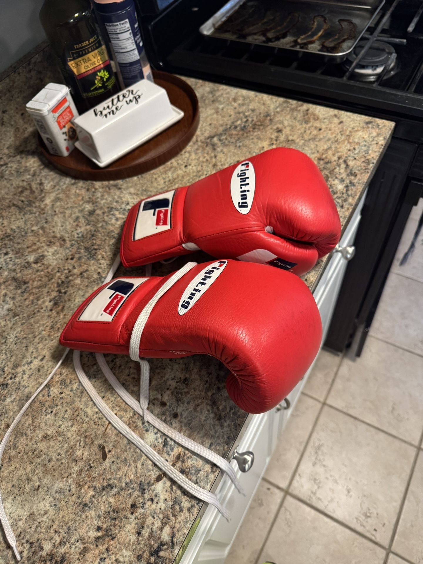 Fighting Fearless Pro Boxing Gloves