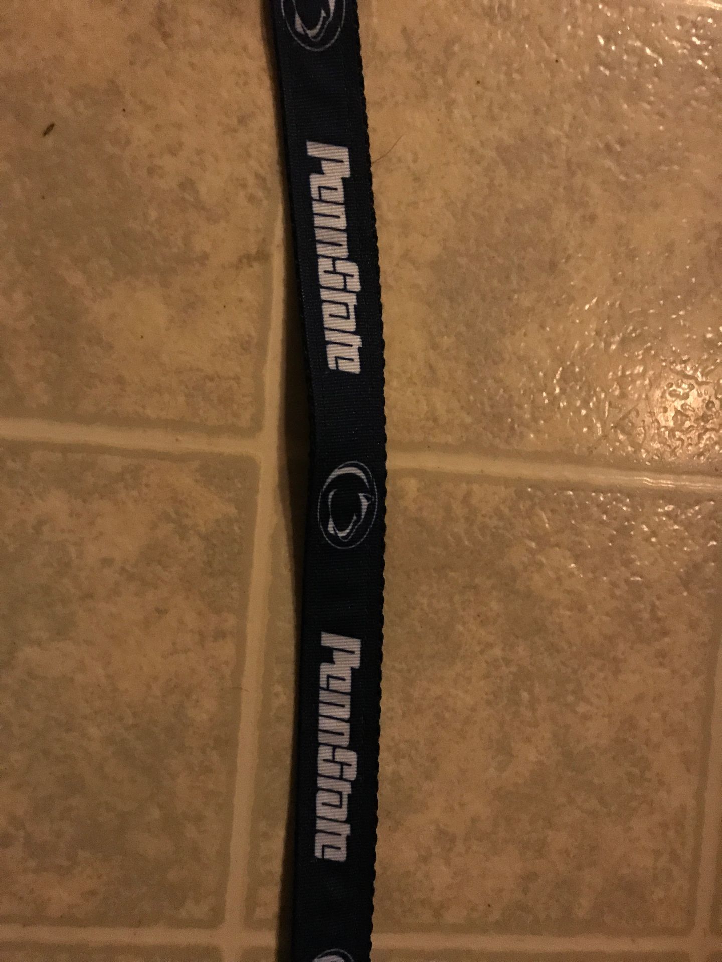 Penn State leash
