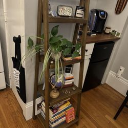 Walnut Staircase Bookshelf