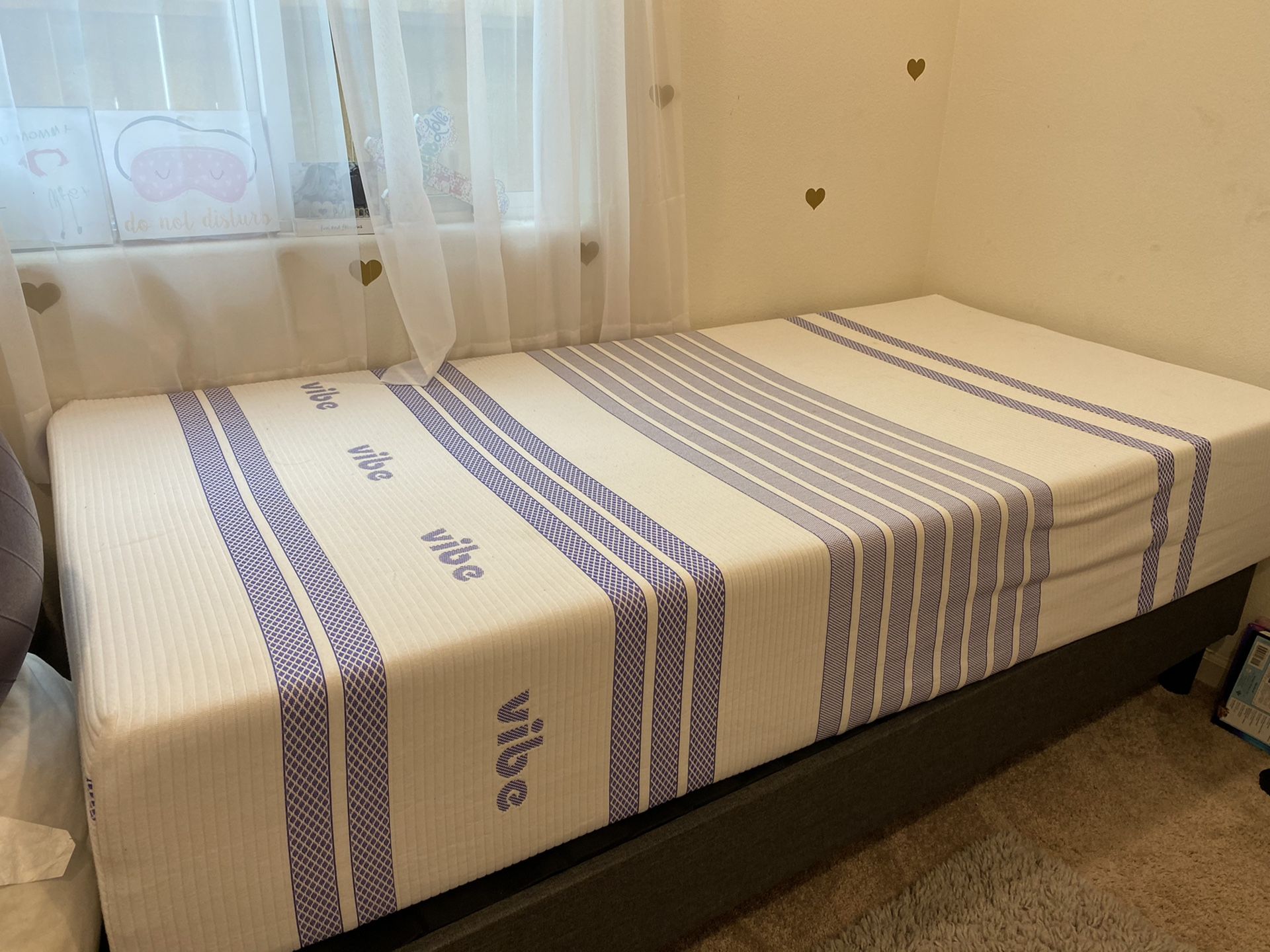 Twin xl(5month used bed)