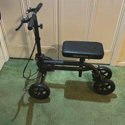 Knee Rover All Terrain With Brakes