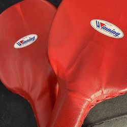 Winning Japan Boxing Paddles 
