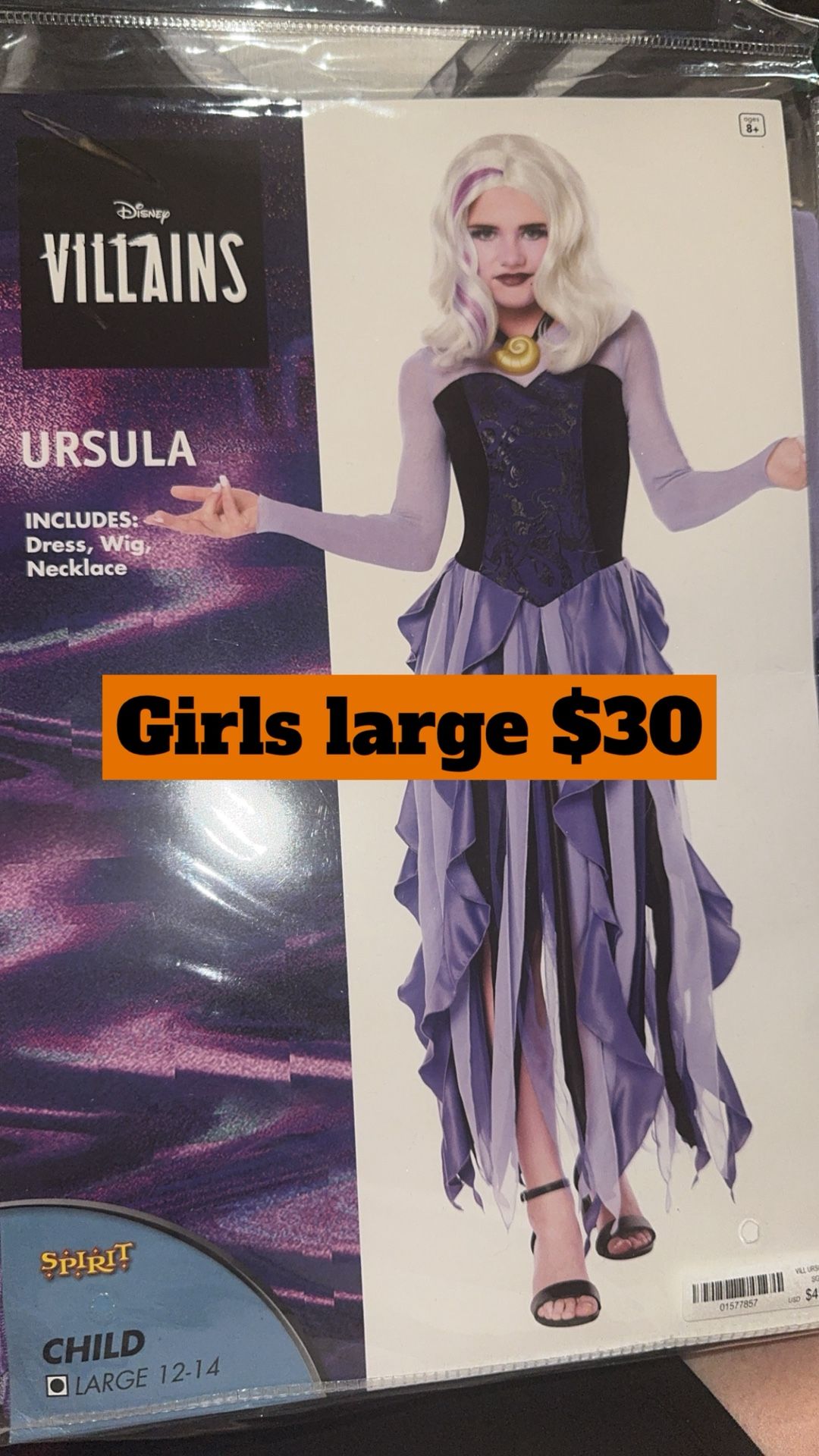 Girls Large New Costume
