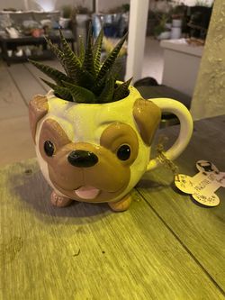 Succulent Pug Mug