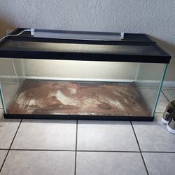 Reptile Tank