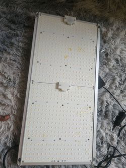 Grow tent light