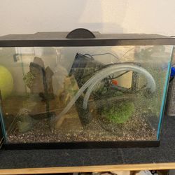 29 Gallon Fish Tank