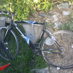 Schwinn Katana or Schwinn Seneca 14-speed road bike